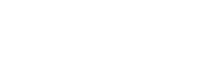 Amigos Pet Brasil